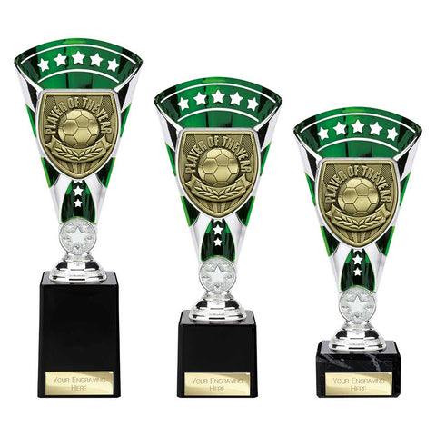 Cobra Star Cup Player of Year - Green|Silver - TE25111