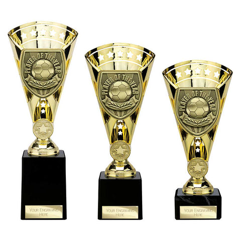 Cobra Star Cup Player of Year - Gold - TG25111