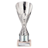 Rising Stars Plastic Trophy Silver -  TR23568A
