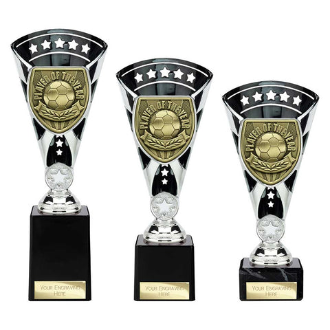 Cobra Star Cup Player of Year - Black|Silver - TR25111