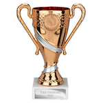 Attrition Trophy Bronze and Silver -  TR25318
