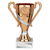 Attrition Trophy Bronze and Silver -  TR25318