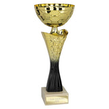 Spark Trophy Gold & Black - Black|Gold - TR25576