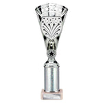 Cobra Star Multisport Tube Trophy Silver - Silver - TR25641