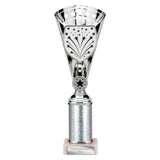 Cobra Star Multisport Tube Trophy Silver - Silver - TR25641