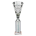 Cobra Star Multisport Tube Trophy Silver - Silver - TR25641