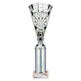 Cobra Star Multisport Tube Trophy Silver - Silver - TR25641
