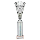 Cobra Star Multisport Tube Trophy Silver - Silver - TR25641