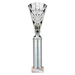 Cobra Star Multisport Tube Trophy Silver - Silver - TR25641