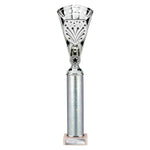 Cobra Star Multisport Tube Trophy Silver - Silver - TR25641