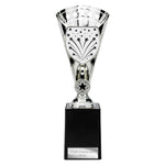 Cobra Star Multisport Cup Silver -  TR25662