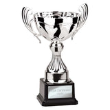 Endeavour Cup Silver - TR26160