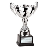 Endeavour Cup Silver - TR26160