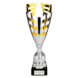 Paramount Laser Cup Silver & Gold - TR26666