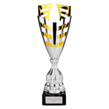 Paramount Laser Cup Silver & Gold - TR26666