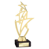 Rising Star Multisport Trophy - TR26681