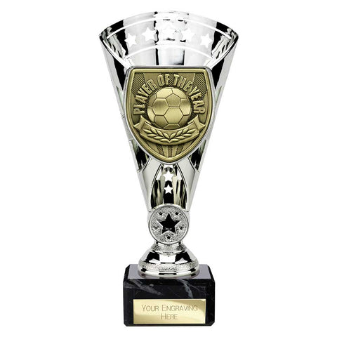 Cobra Star Cup Player of Year - Silver - TS25111