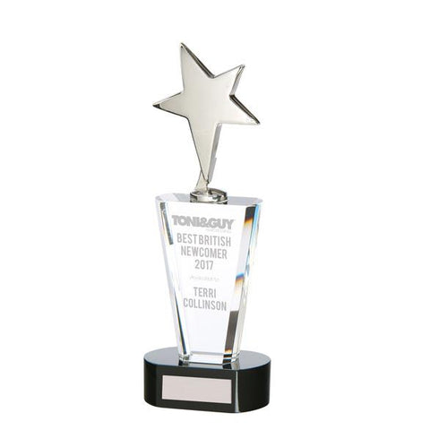 Chicago Crystal & Chrome Award CR17106