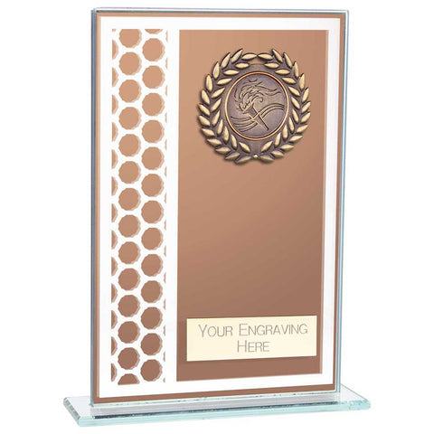 Titanium Glass Award Bronze  CR23575