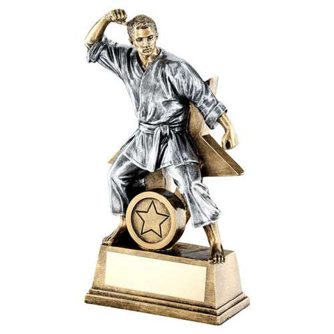 Martial Arts MALE Resin Trophy RF185