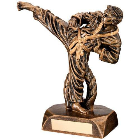 Martial Arts MALE Resin Trophy RF30