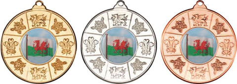 Wales Medal & Ribbon 50mm (M89)