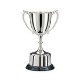 The Highgrove Nickel Plated Cup NP3258