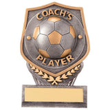 Falcon Football Coach's Player Award PA20083