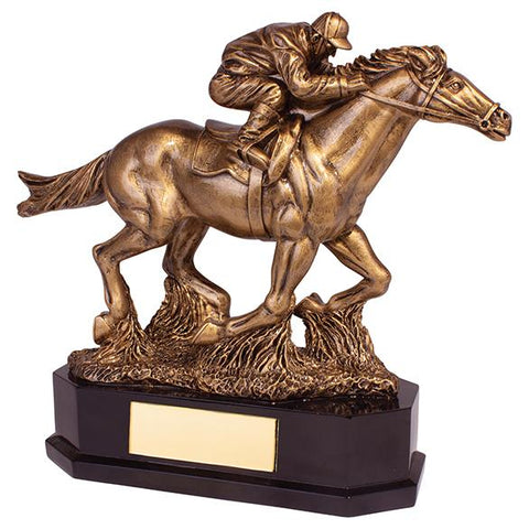 Aintree Equestrian Racing Horse Award RF19139