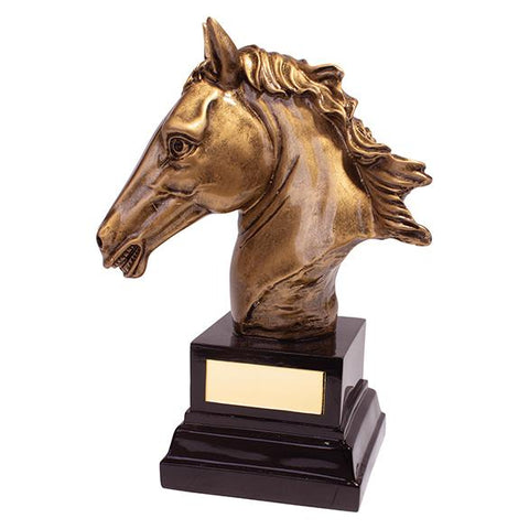 Belmont Equestrian Award RF19140