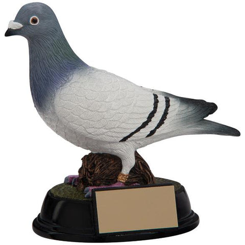 Elite Pigeon Racing Award RF4157