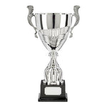 Champion Silver Super Cup TR17539