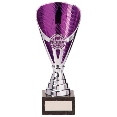Rising Stars Premium Plastic Trophy Silver & Purple 185mm