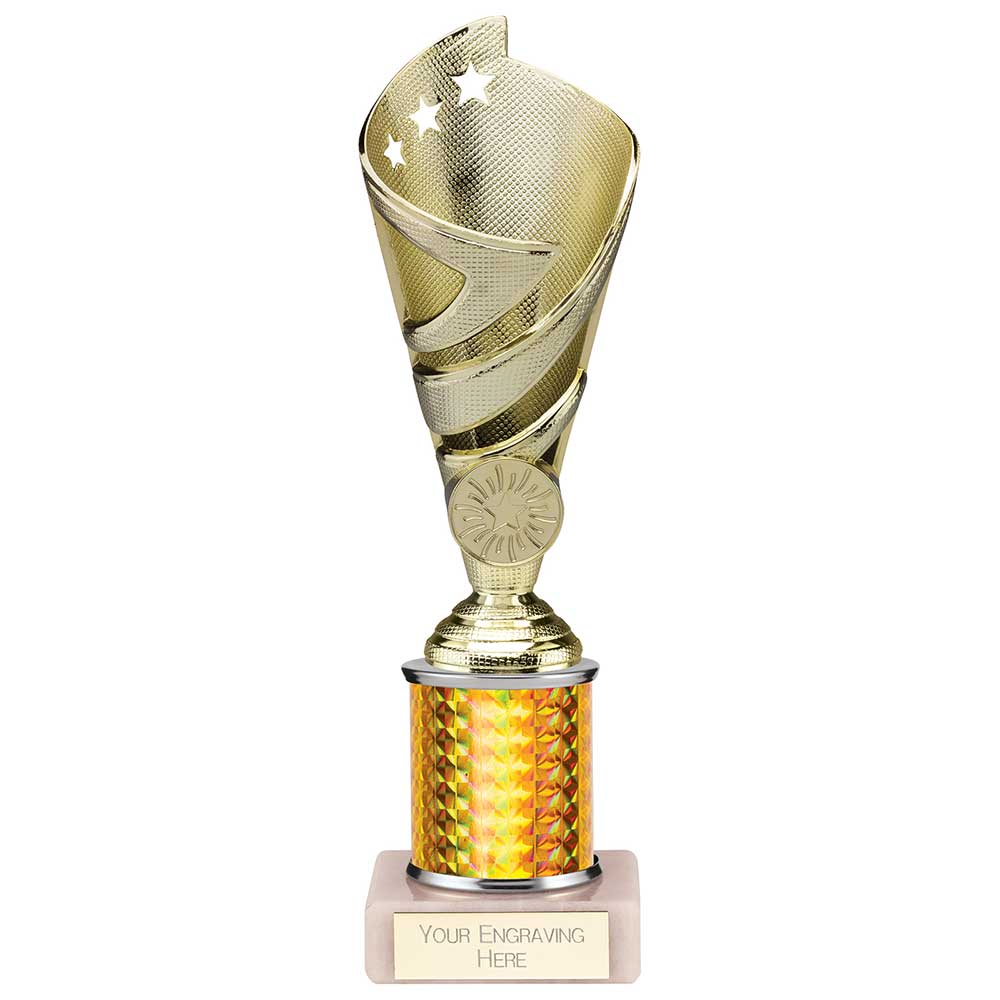 https://allsportstrophies.co.uk/cdn/shop/products/TR24539A_1080x.jpg?v=1742239020